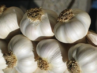 Το σκόρδο βελτιώνει την διάθεση